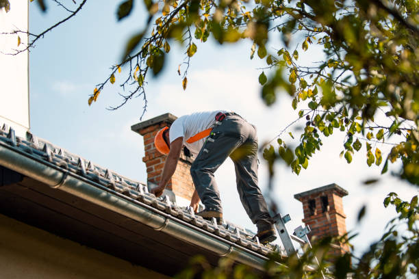 Best New Roof Installation  in Wamac, IL