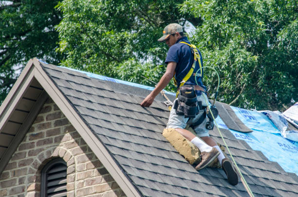 Best Roof Leak Repair  in Wamac, IL