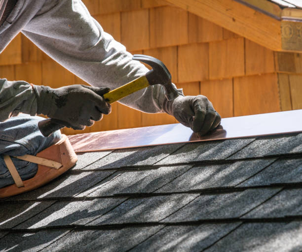 Best Roof Gutter Cleaning  in Wamac, IL